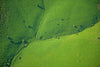 Aerial view of grasslands, Scotland. 5372