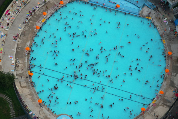 Aerial view of Lasker Rink pool in Central Park, New York, USA. 7713